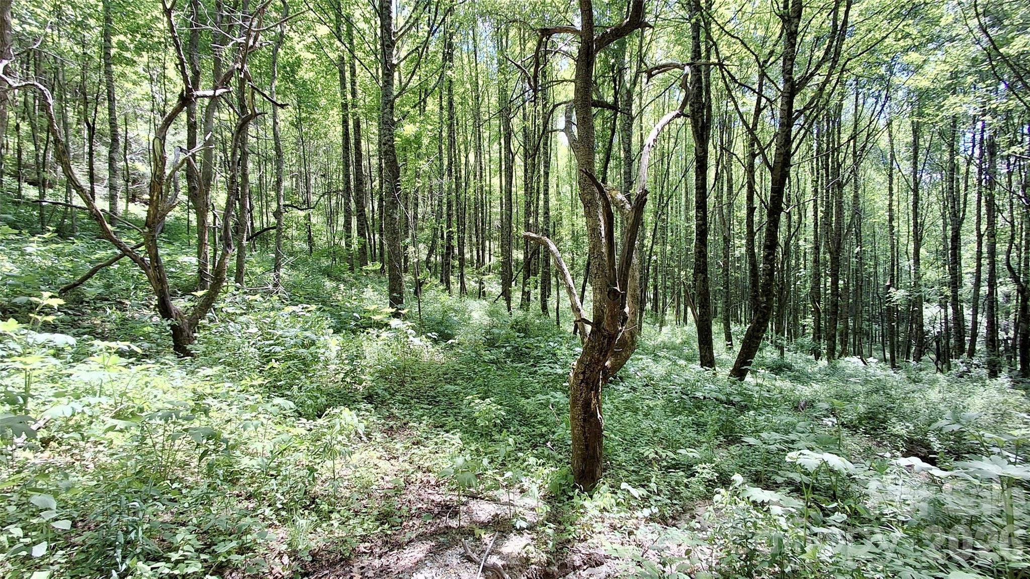 0000 Cold Mountain Road Highlands NC 28741