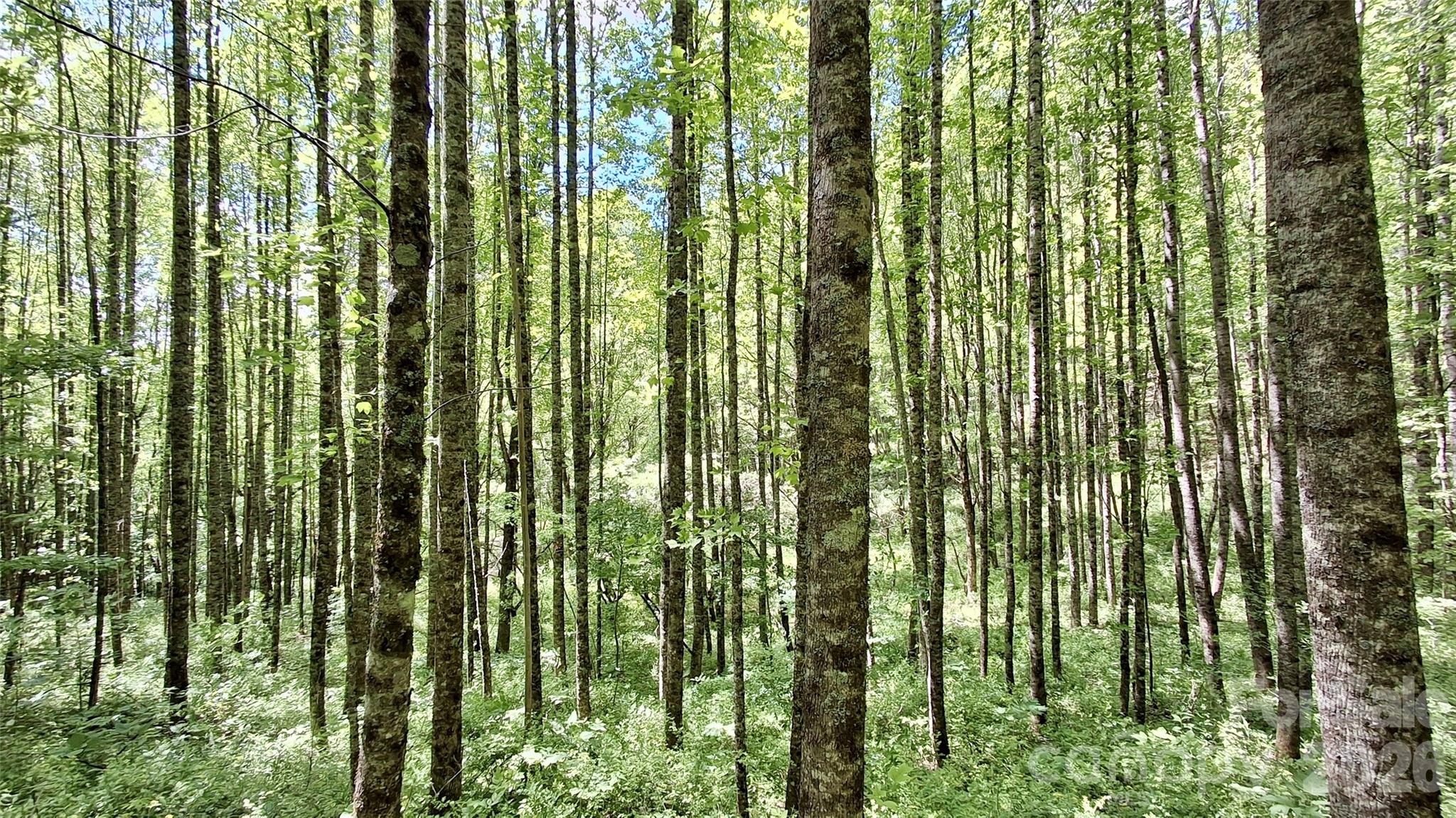 0000 Cold Mountain Road Highlands NC 28741