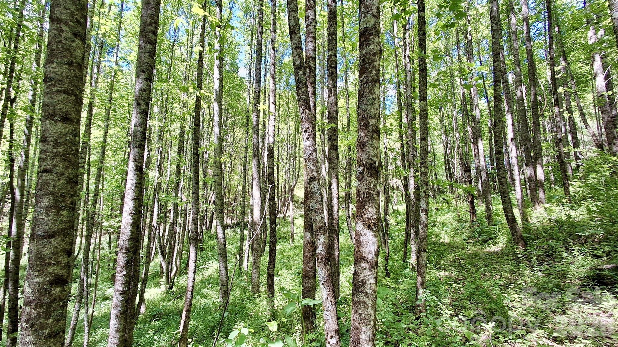 0000 Cold Mountain Road Highlands NC 28741