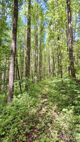 0000 Cold Mountain Road Highlands NC 28741