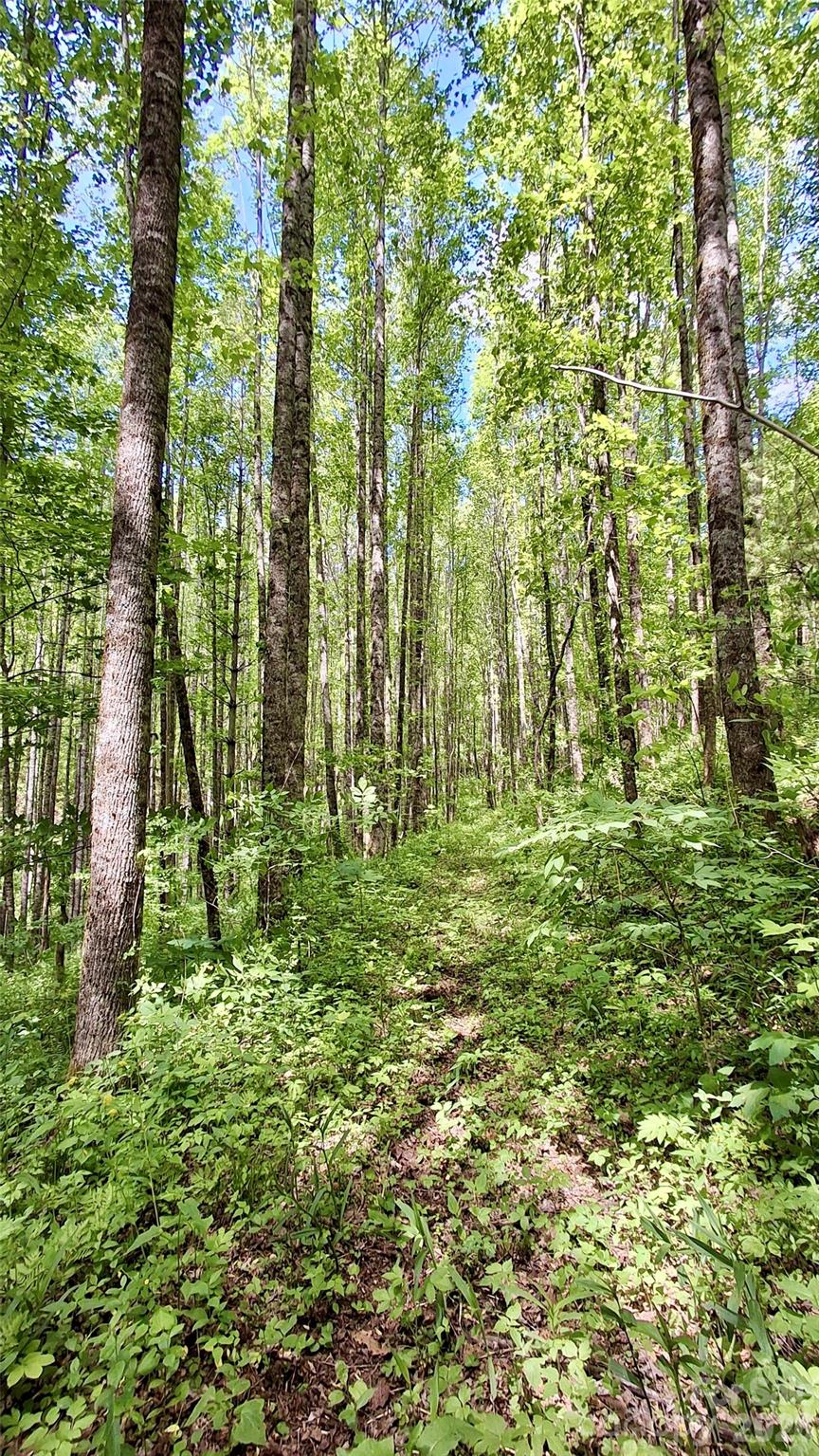 0000 Cold Mountain Road Highlands NC 28741