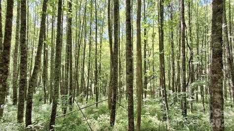 0000 Cold Mountain Road Highlands NC 28741
