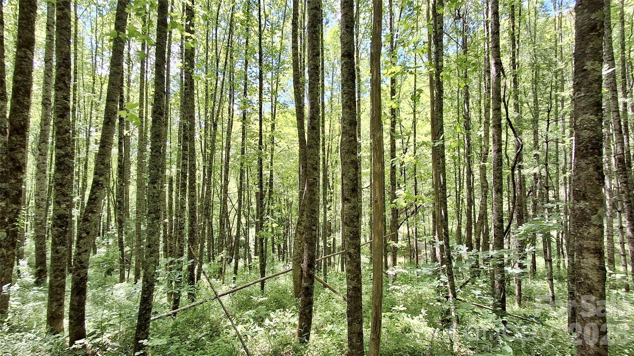 0000 Cold Mountain Road Highlands NC 28741