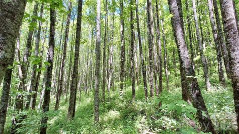 0000 Cold Mountain Road Highlands NC 28741