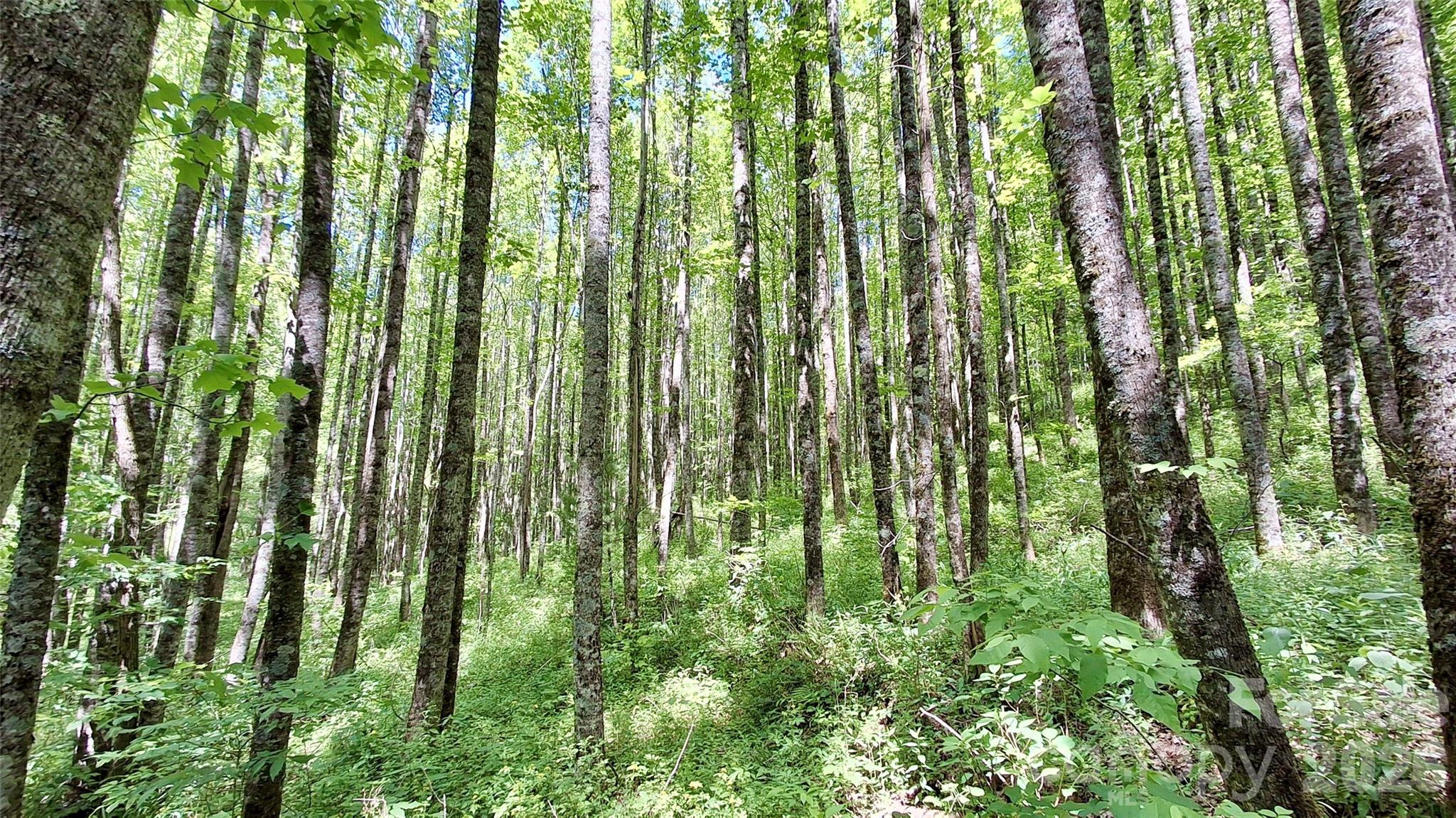 0000 Cold Mountain Road Highlands NC 28741