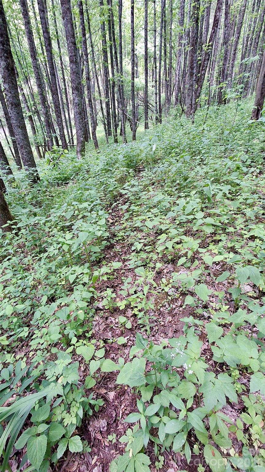 0000 Cold Mountain Road Highlands NC 28741