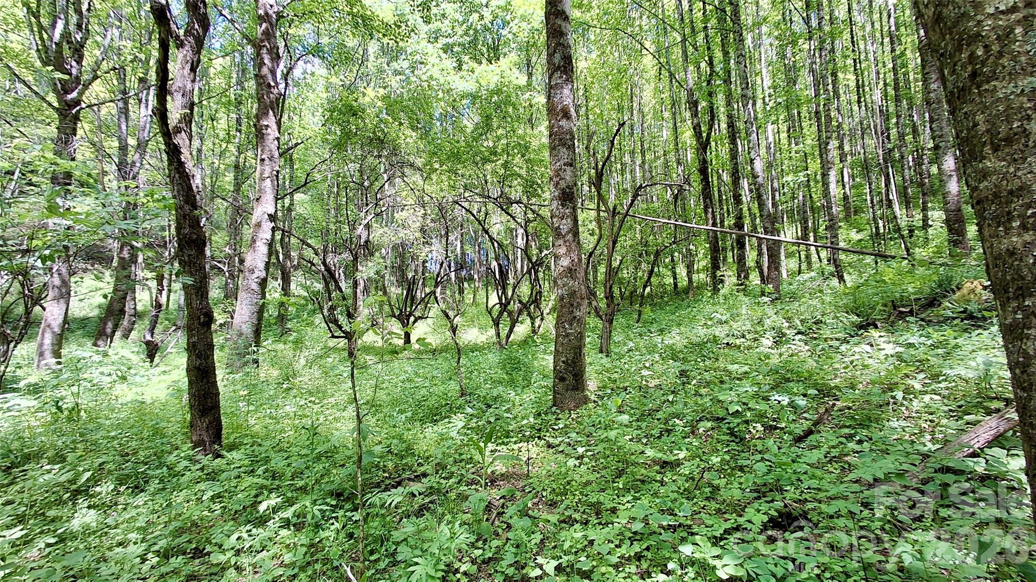 0000 Cold Mountain Road Highlands NC 28741