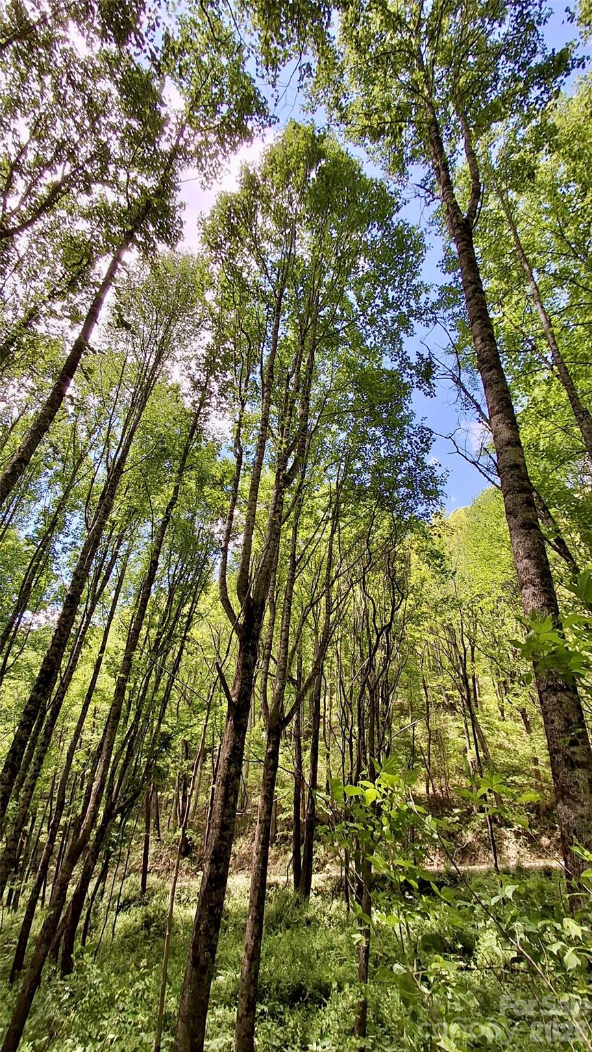 0000 Cold Mountain Road Highlands NC 28741