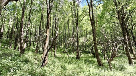 0000 Cold Mountain Road Highlands NC 28741