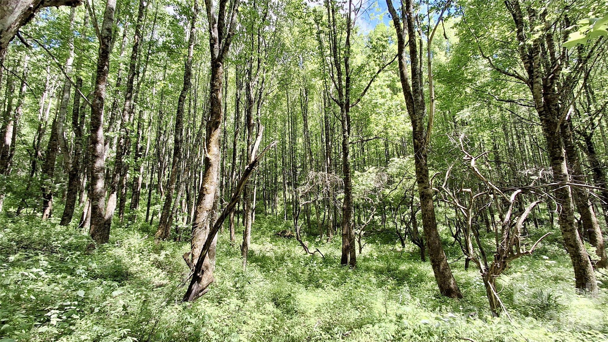 0000 Cold Mountain Road Highlands NC 28741