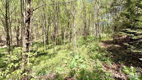 0000 Cold Mountain Road Highlands NC 28741