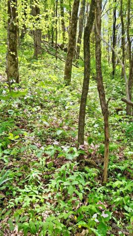 0000 Cold Mountain Road Highlands NC 28741