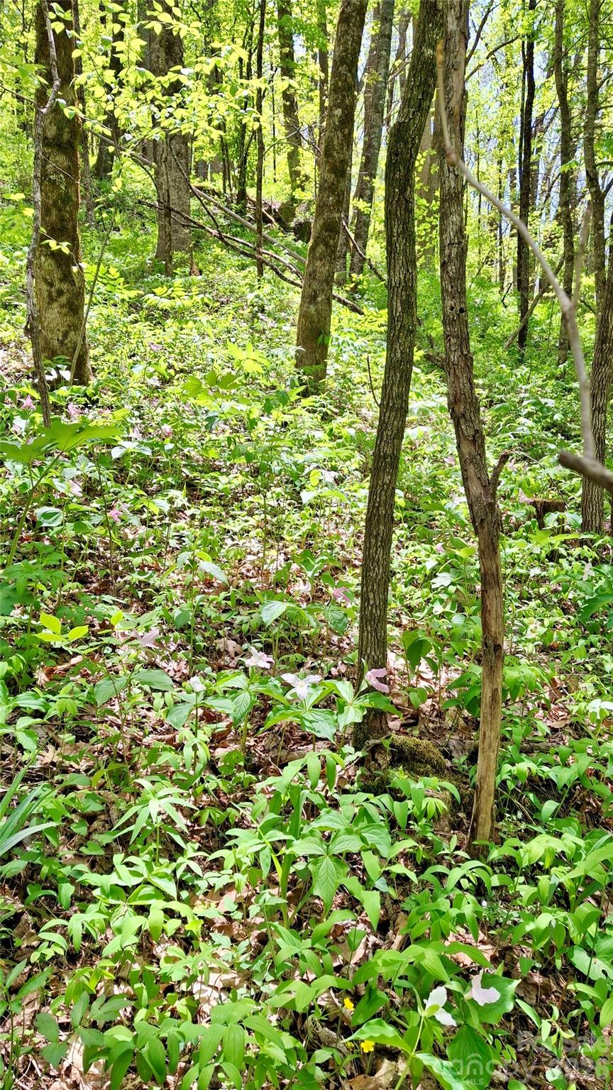 0000 Cold Mountain Road Highlands NC 28741