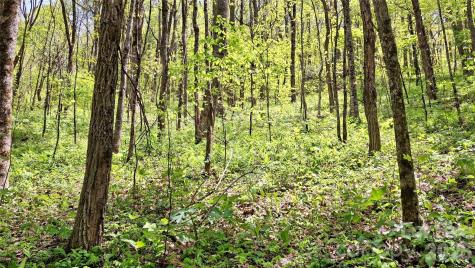 0000 Cold Mountain Road Highlands NC 28741