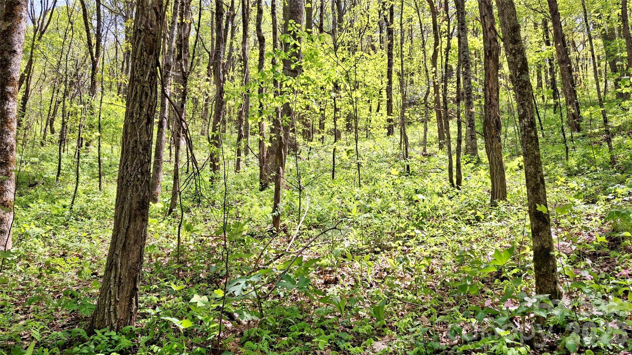 0000 Cold Mountain Road Highlands NC 28741