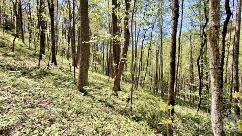 0000 Cold Mountain Road Highlands NC 28741