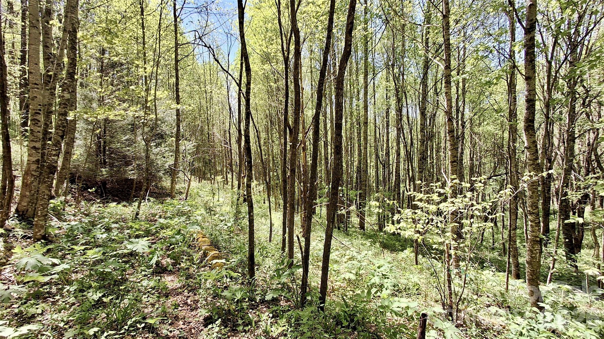 0000 Cold Mountain Road Highlands NC 28741