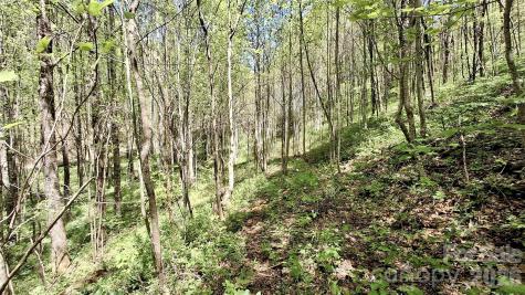 0000 Cold Mountain Road Highlands NC 28741