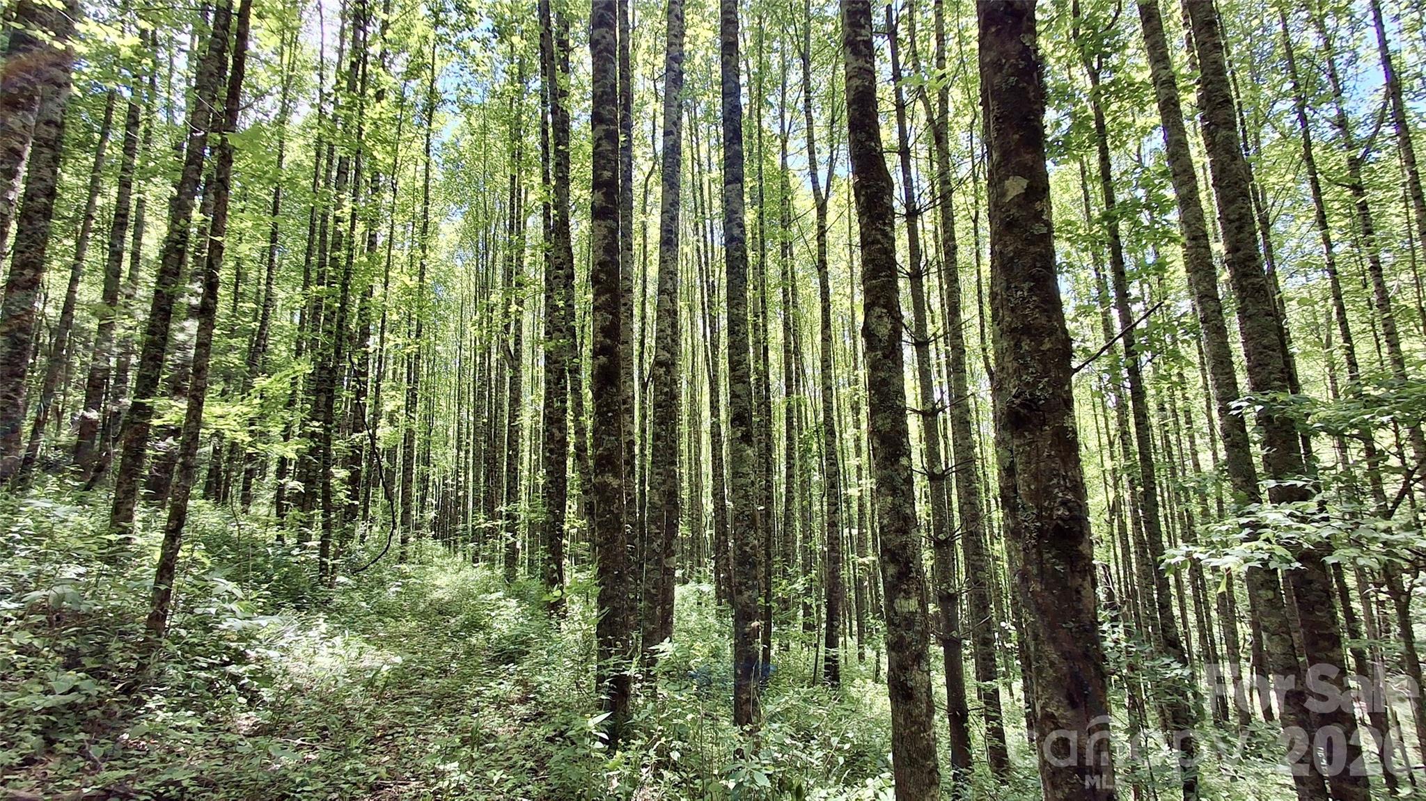 0000 Cold Mountain Road Highlands NC 28741