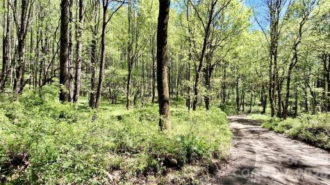 0000 Cold Mountain Road Highlands NC 28741
