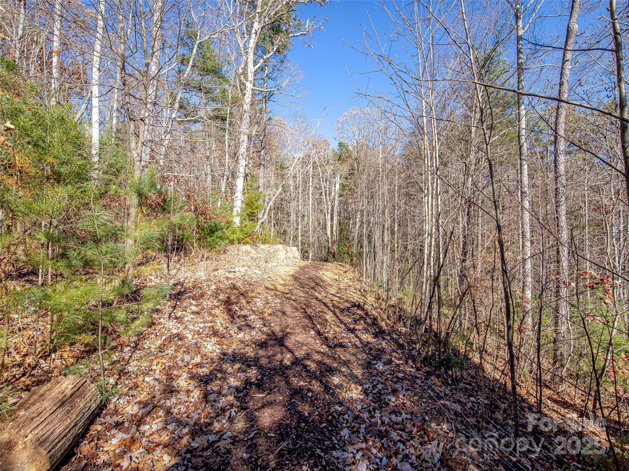 36 Slide Rock Way Fairview NC 28730