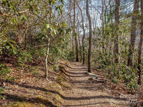 36 Slide Rock Way Fairview NC 28730
