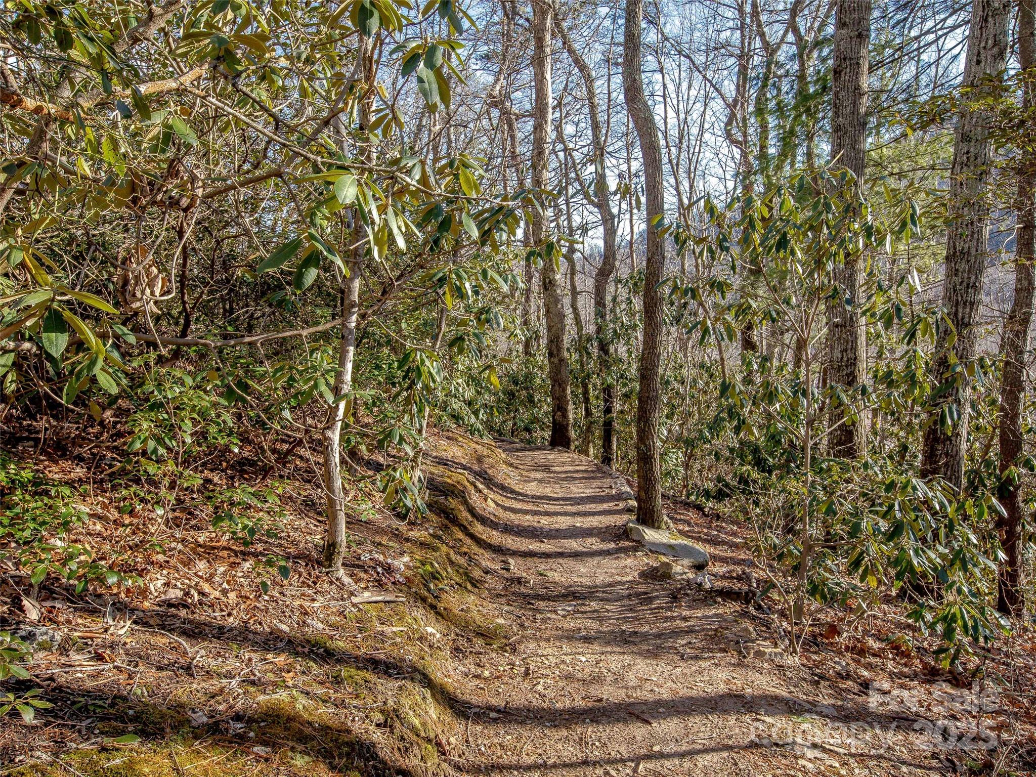 36 Slide Rock Way Fairview NC 28730