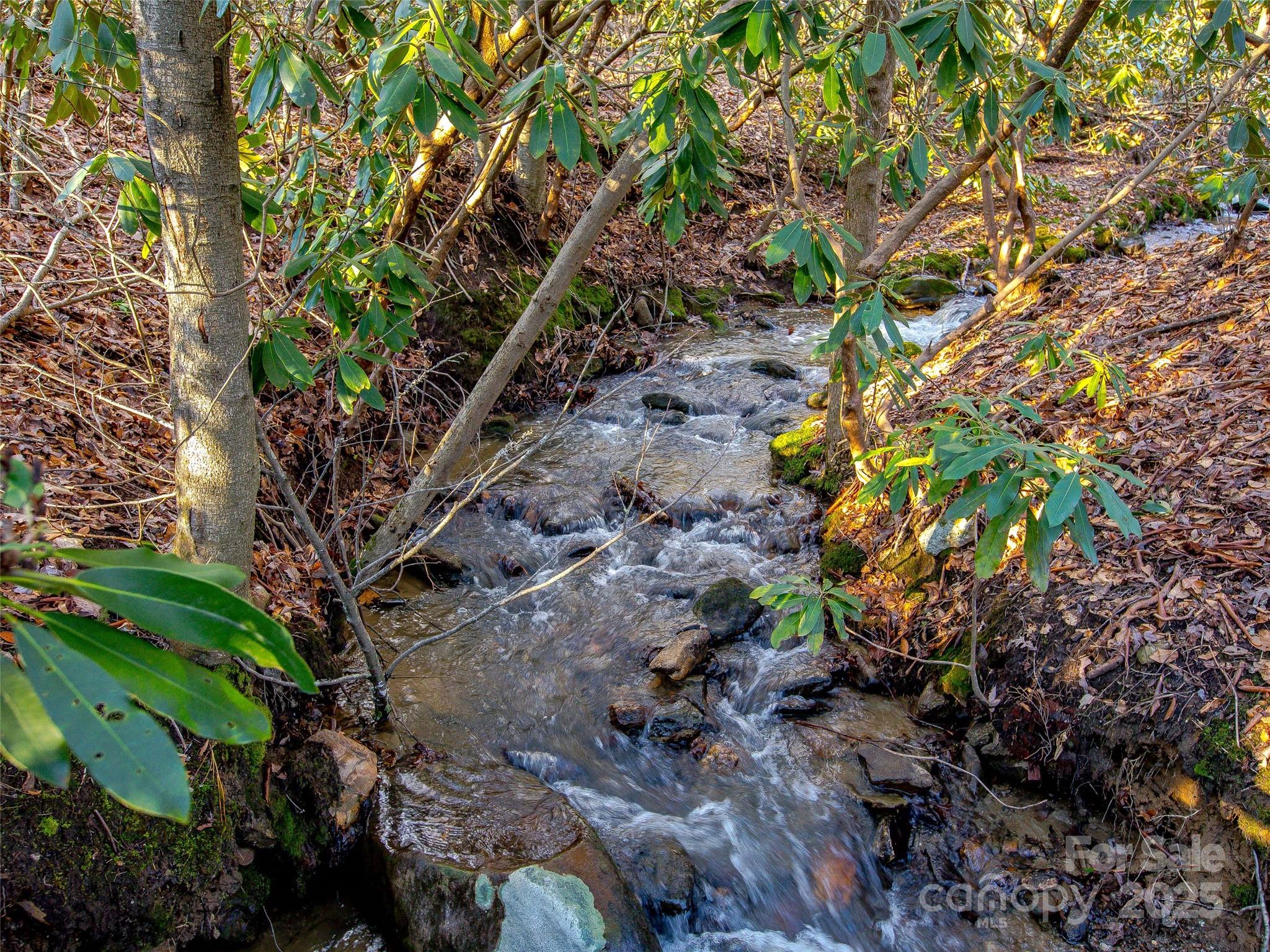 36 Slide Rock Way Fairview NC 28730