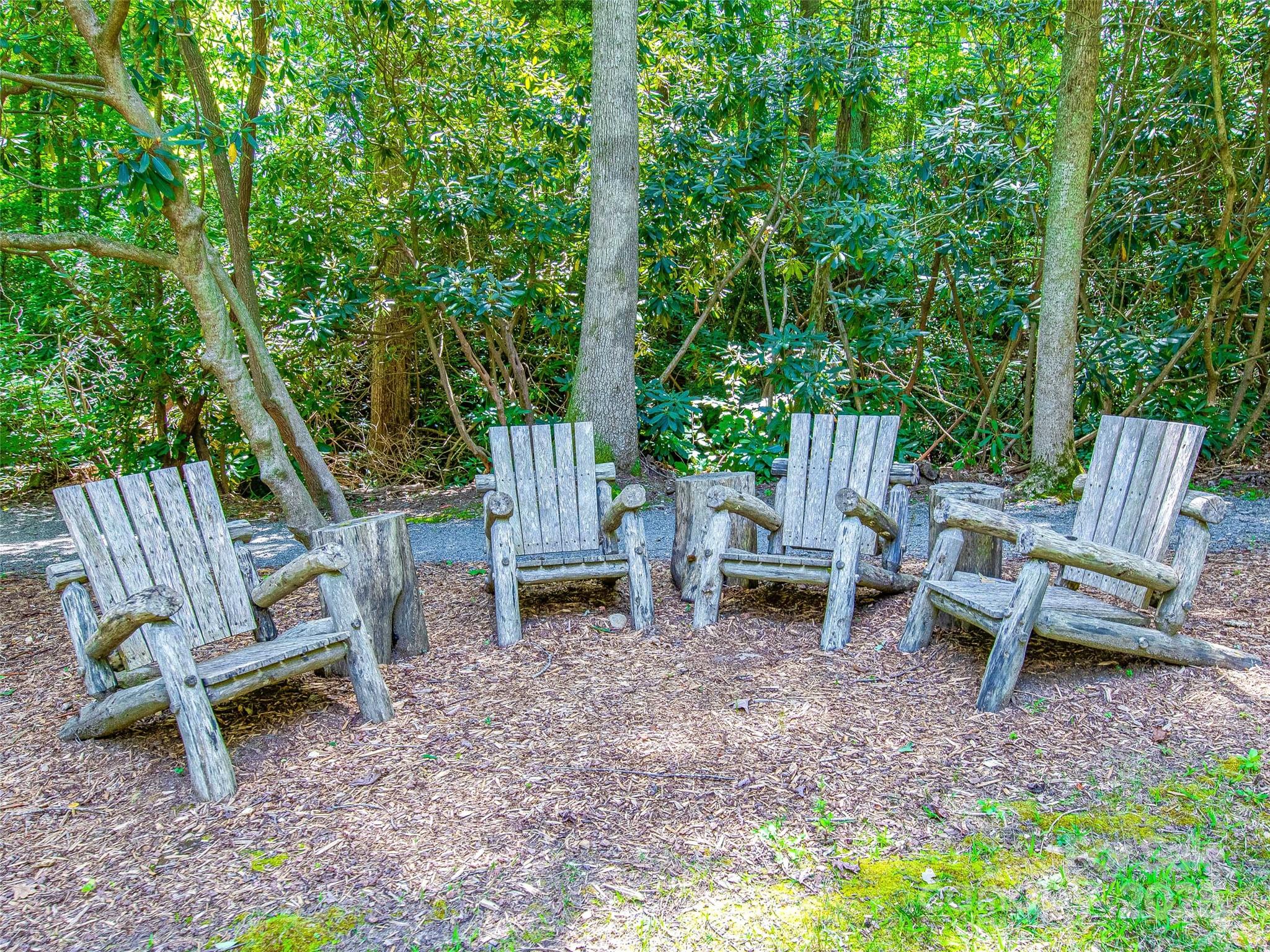 36 Slide Rock Way Fairview NC 28730