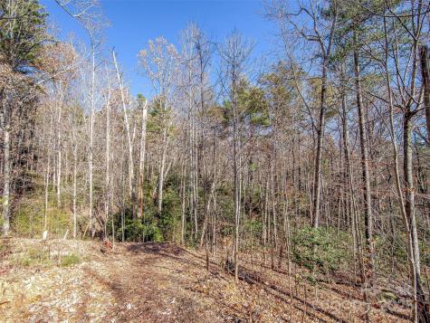 36 Slide Rock Way Fairview NC 28730