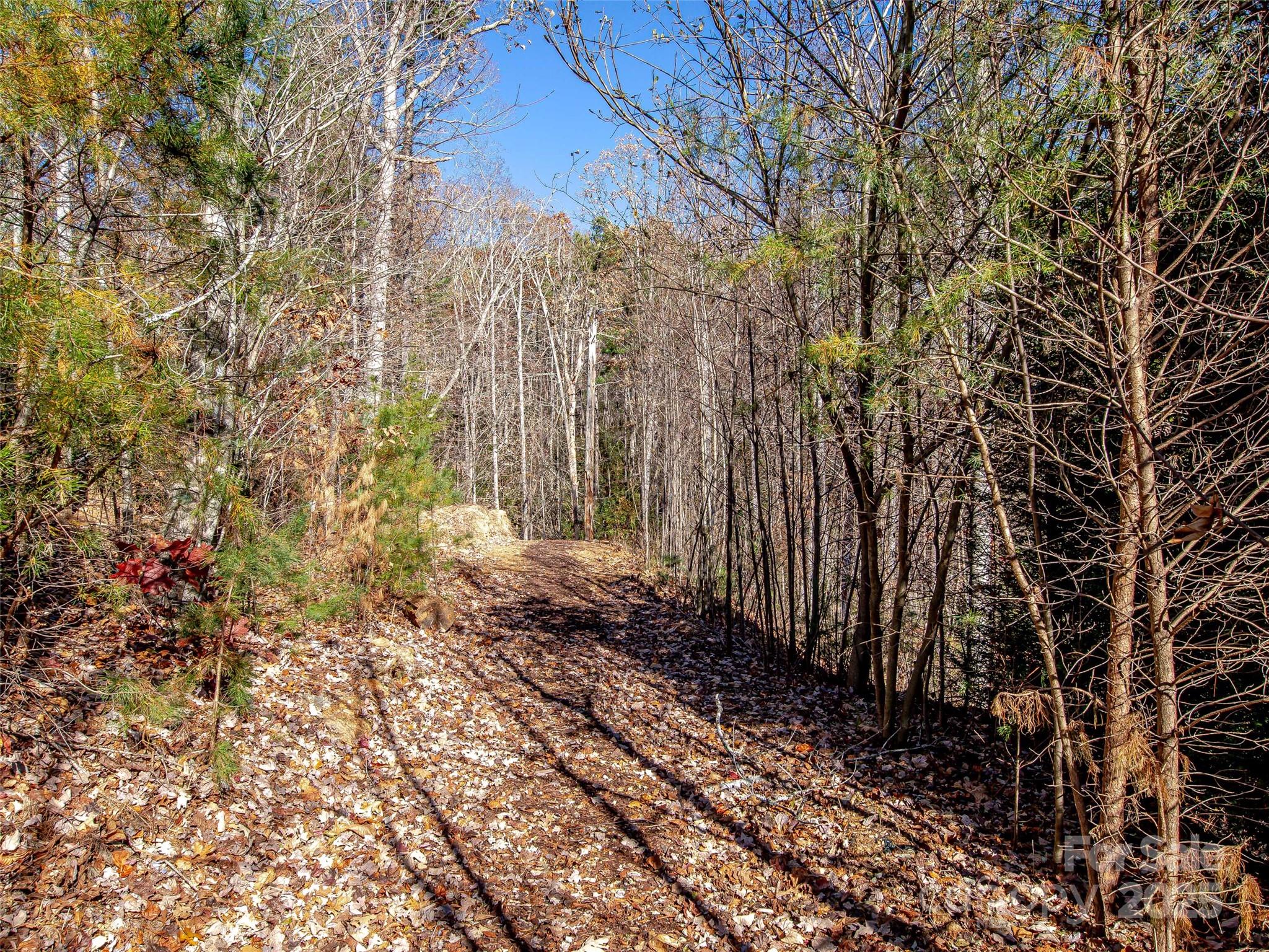 36 Slide Rock Way Fairview NC 28730