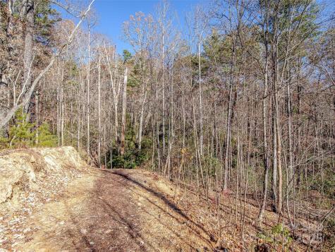 36 Slide Rock Way Fairview NC 28730