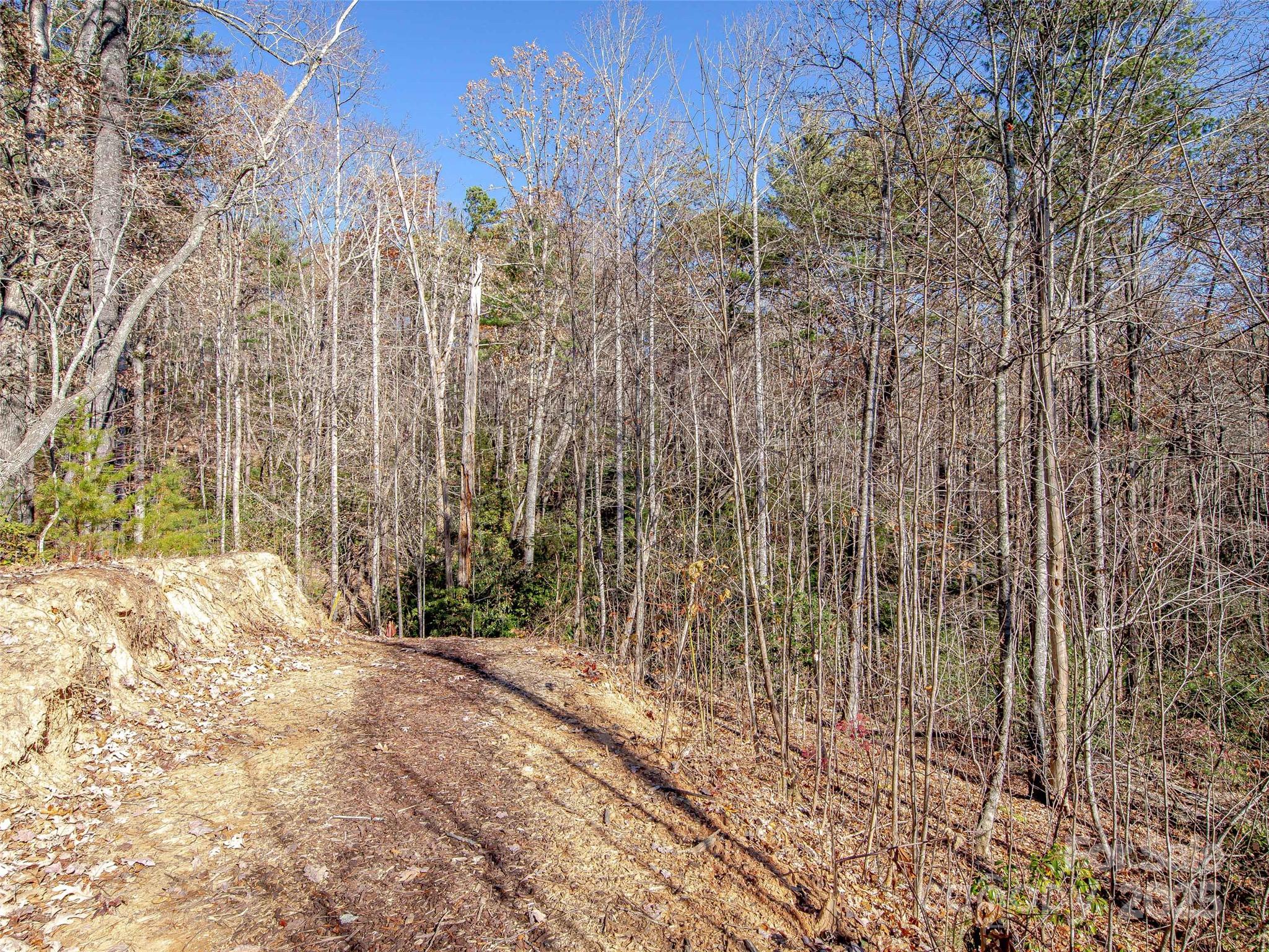 36 Slide Rock Way Fairview NC 28730