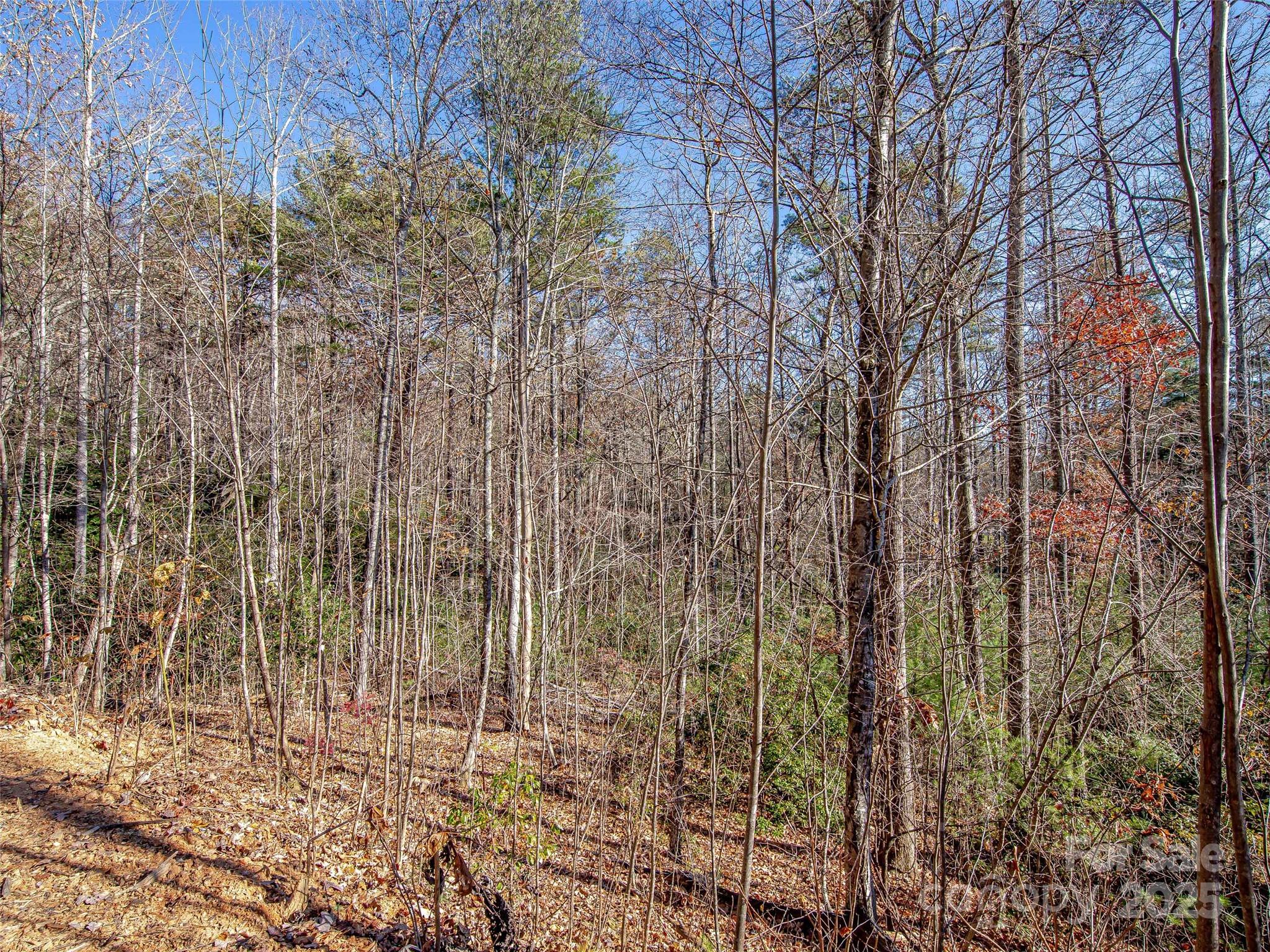 36 Slide Rock Way Fairview NC 28730