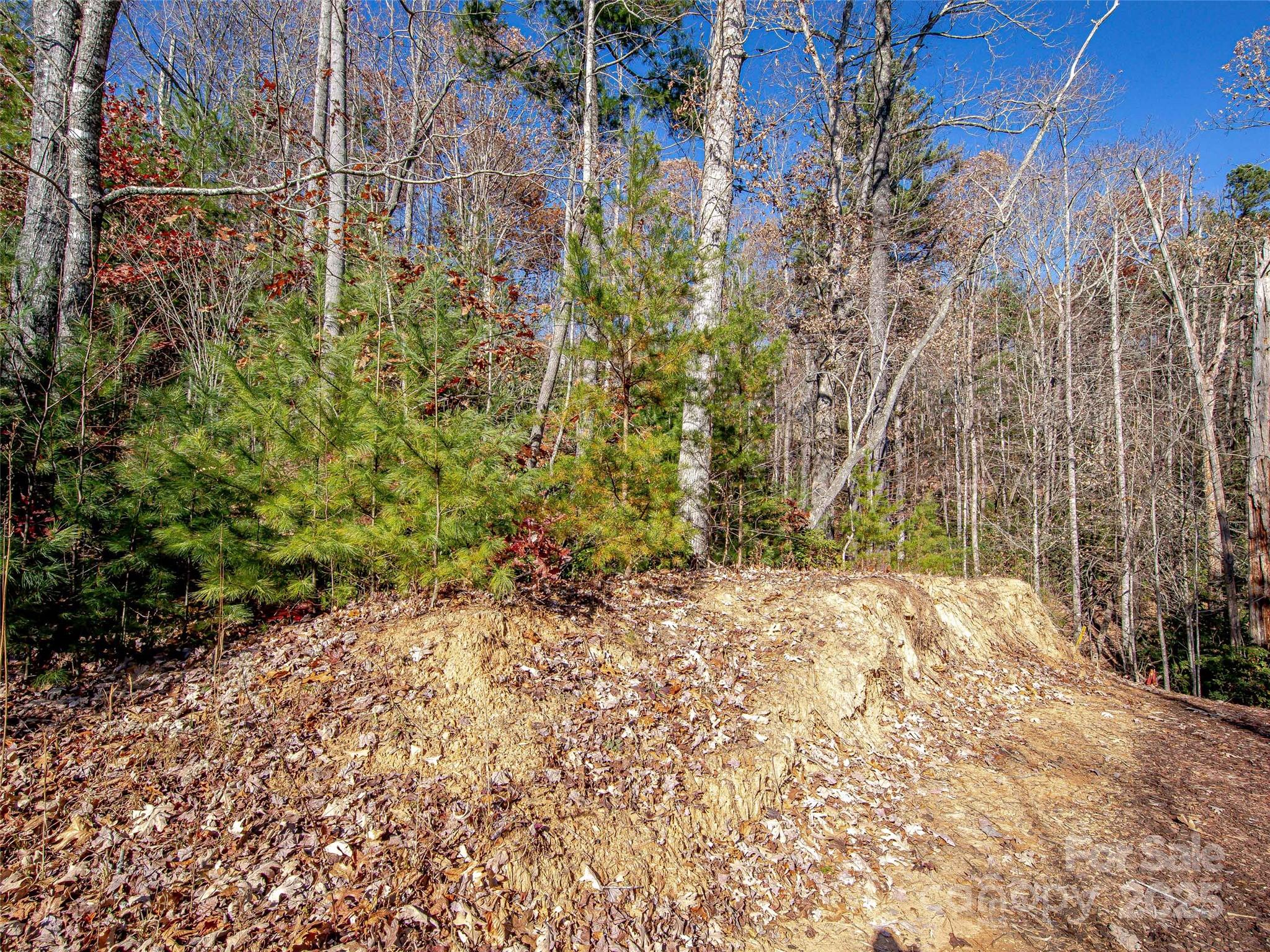 36 Slide Rock Way Fairview NC 28730