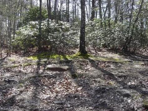 91 Old Forge Drive Bostic NC 28018