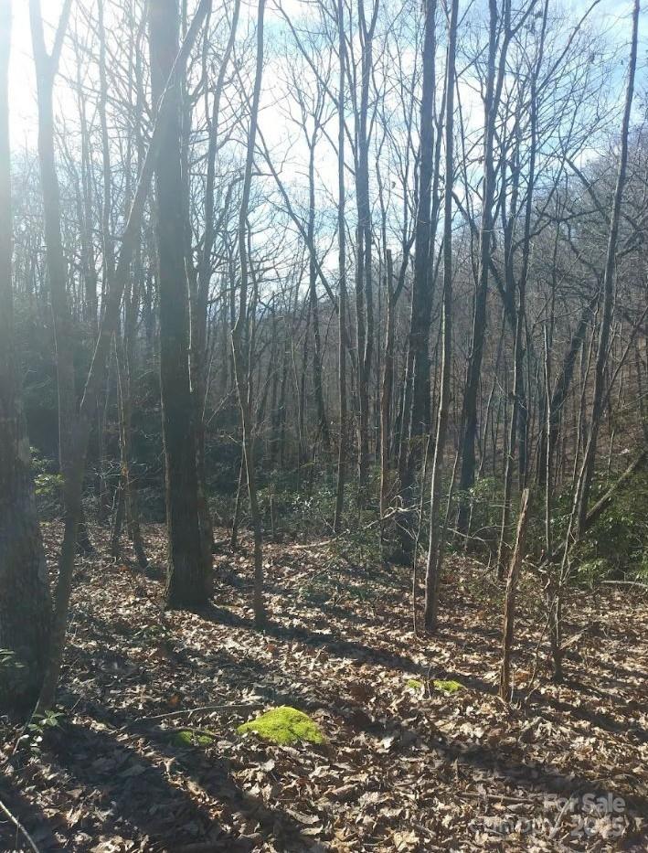 91 Old Forge Drive Bostic NC 28018