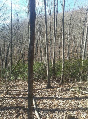 91 Old Forge Drive Bostic NC 28018