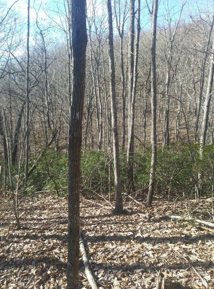 91 Old Forge Drive Bostic NC 28018