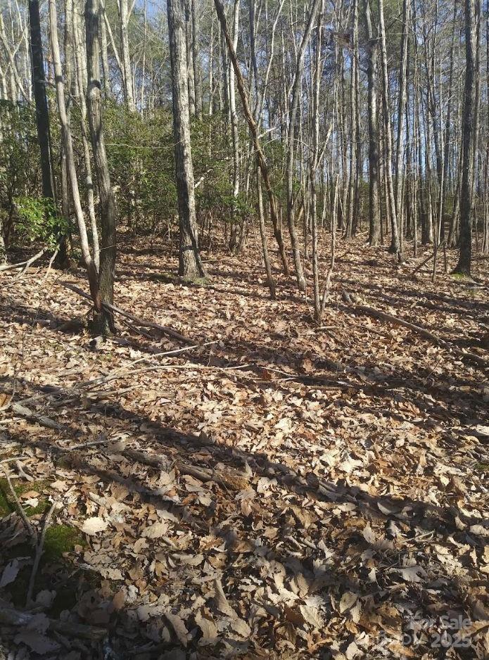 91 Old Forge Drive Bostic NC 28018