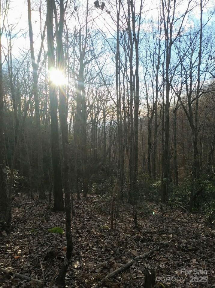 91 Old Forge Drive Bostic NC 28018