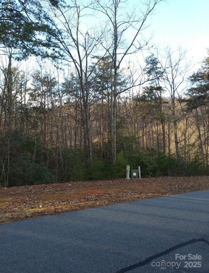 91 Old Forge Drive Bostic NC 28018
