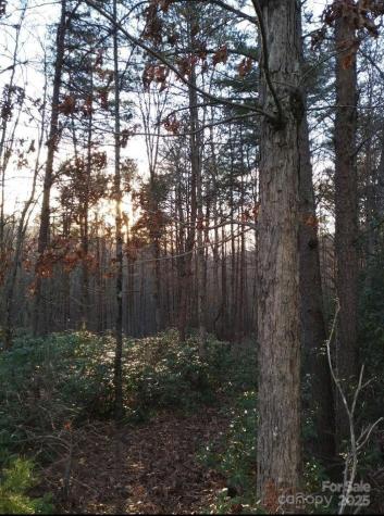 91 Old Forge Drive Bostic NC 28018