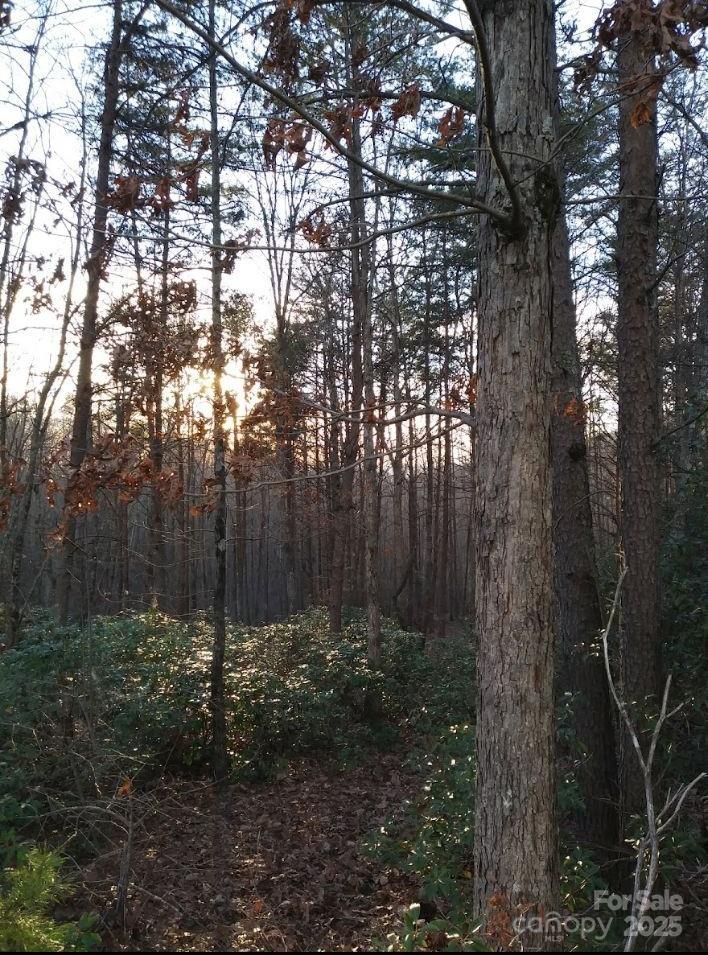 91 Old Forge Drive Bostic NC 28018