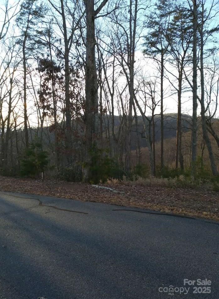 91 Old Forge Drive Bostic NC 28018