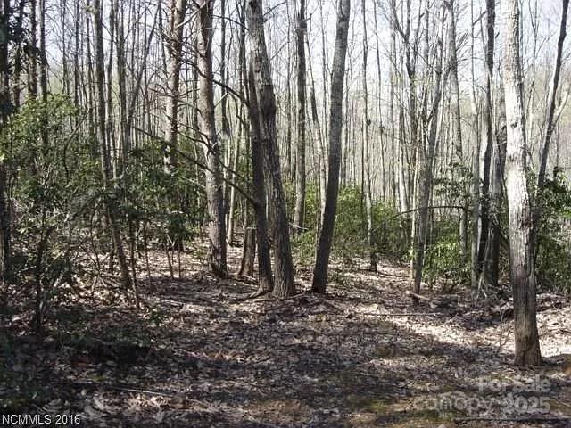 91 Old Forge Drive Bostic NC 28018