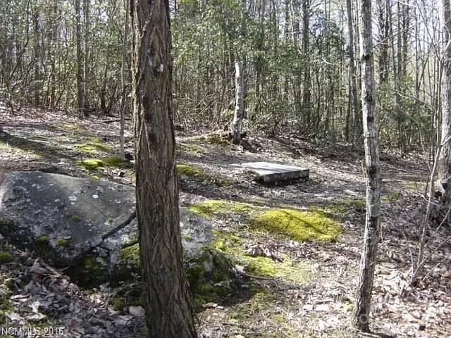 91 Old Forge Drive Bostic NC 28018