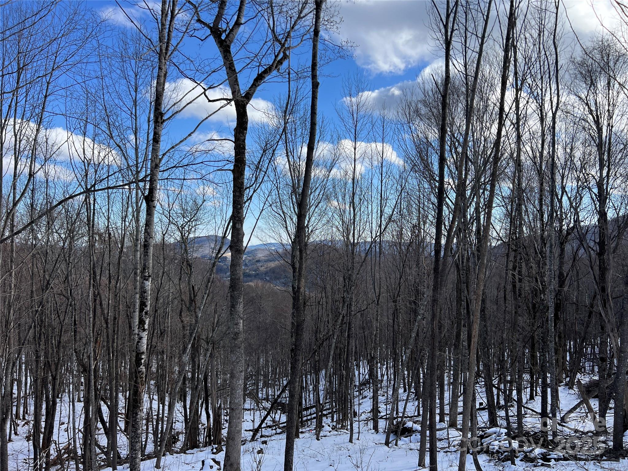 Tbd (Lot 69) Poplar Forest Drive Boone NC 28607