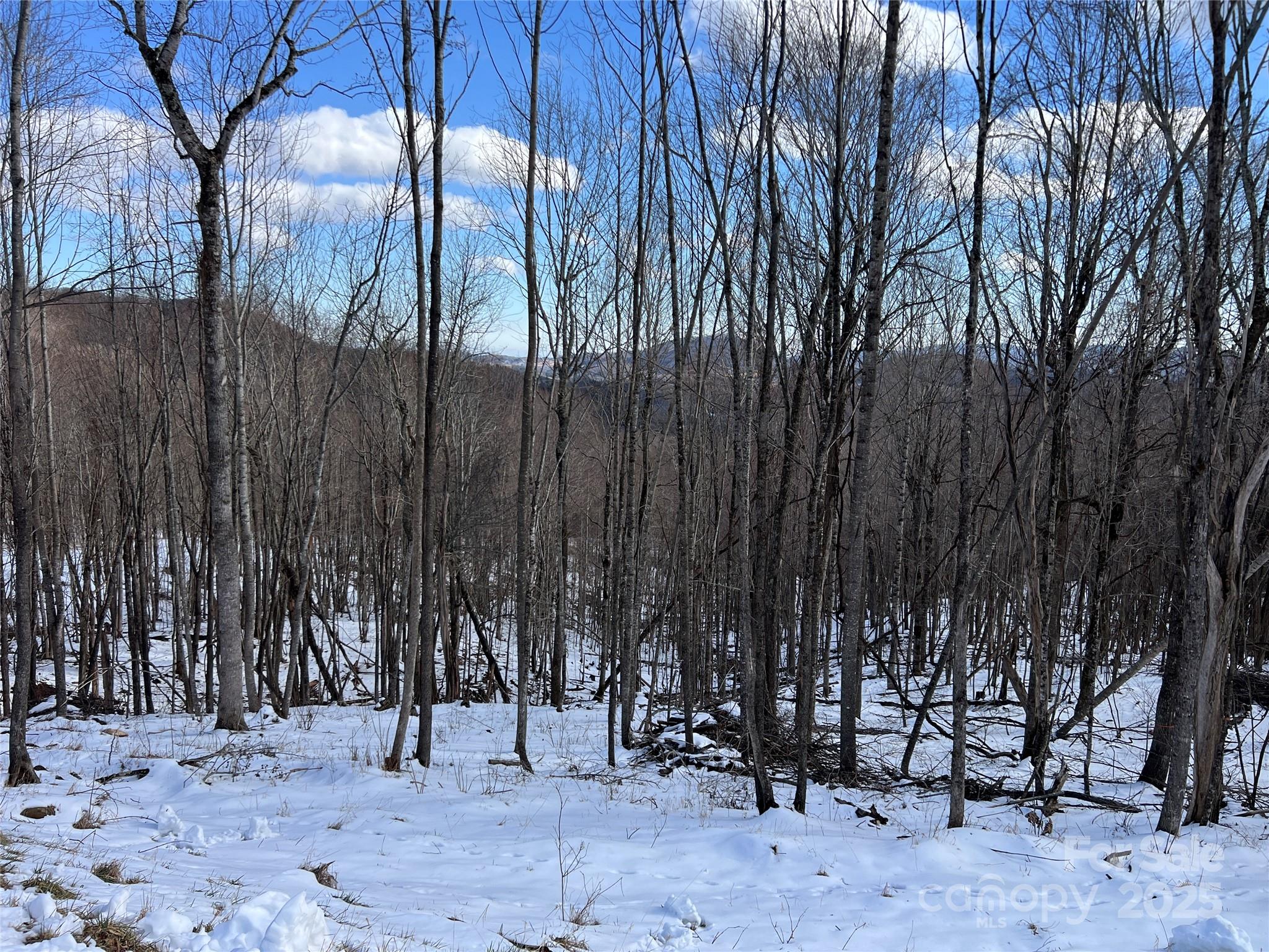 Tbd (Lot 69) Poplar Forest Drive Boone NC 28607