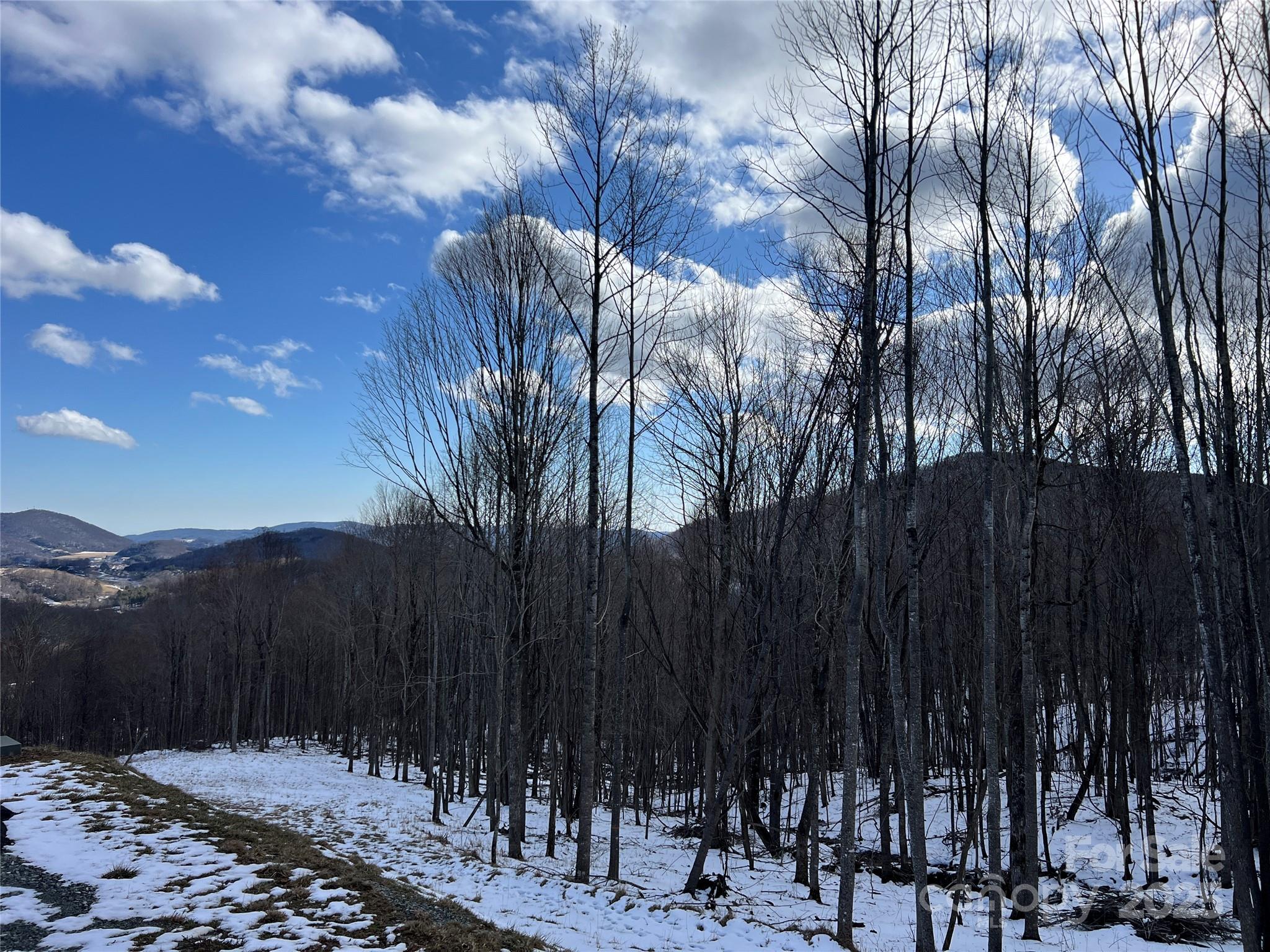 Tbd (Lot 69) Poplar Forest Drive Boone NC 28607
